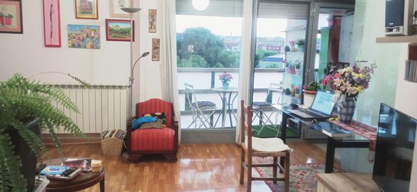 Soledad's house