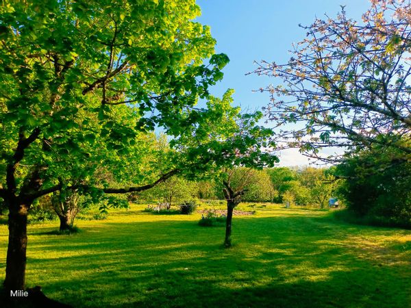 La maison des Filles
