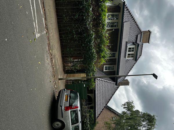 Casa de Wilfred