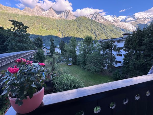 Mont Blanc views, new & well equipped home, sunny, very central yet tranquil with trails behind.