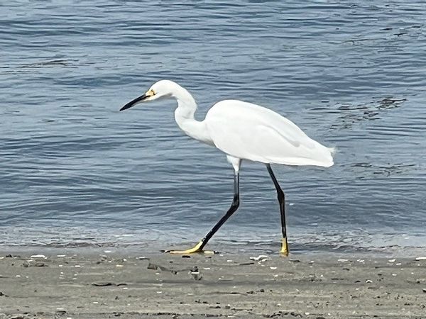 La maison de Michelle