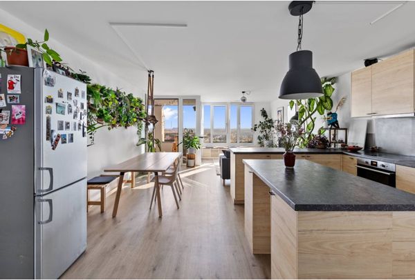 A jungle home with unobstructed views over east Berlin