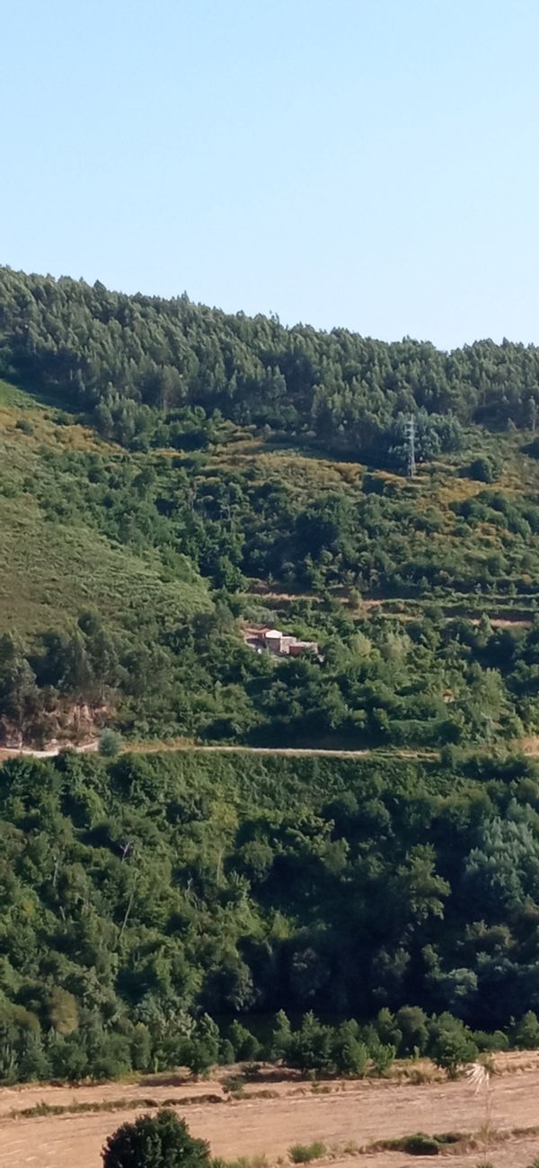 La maison de Cristal