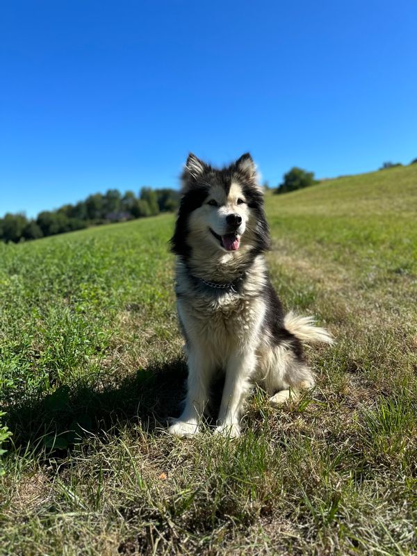 La maison en pleine campagne entourée de champs et de forêts