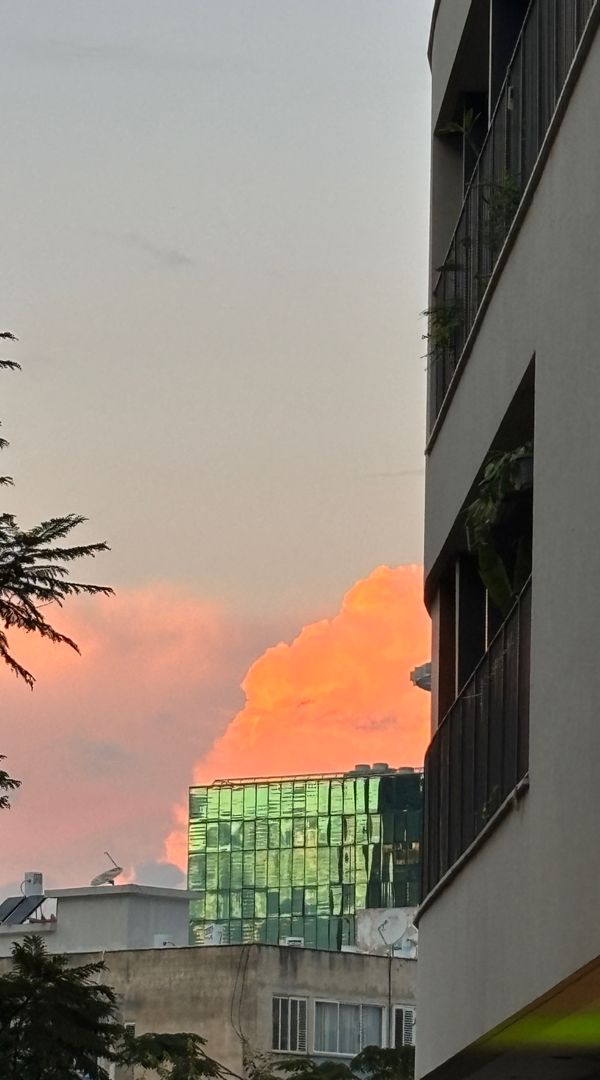 Yans hus