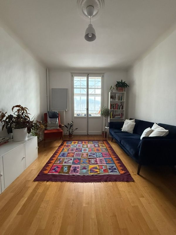Ideally located Geneva apartment/Appartement pratique au coeur de Genève