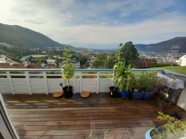 La maison de Hallstein