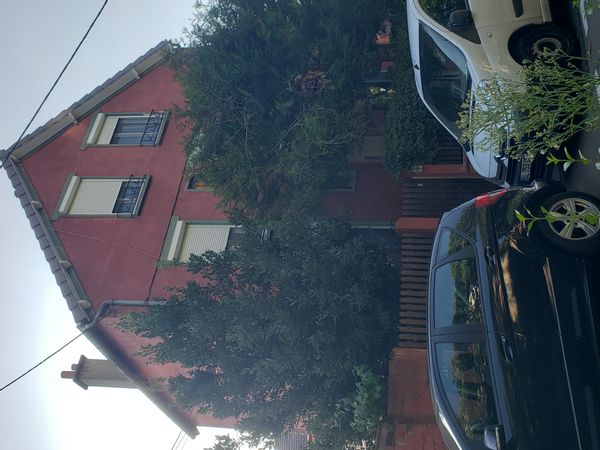 Camille s Haus