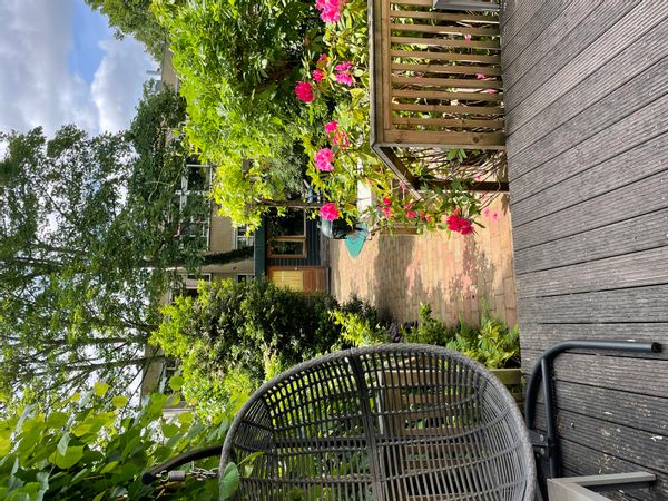 La maison de Reinoud