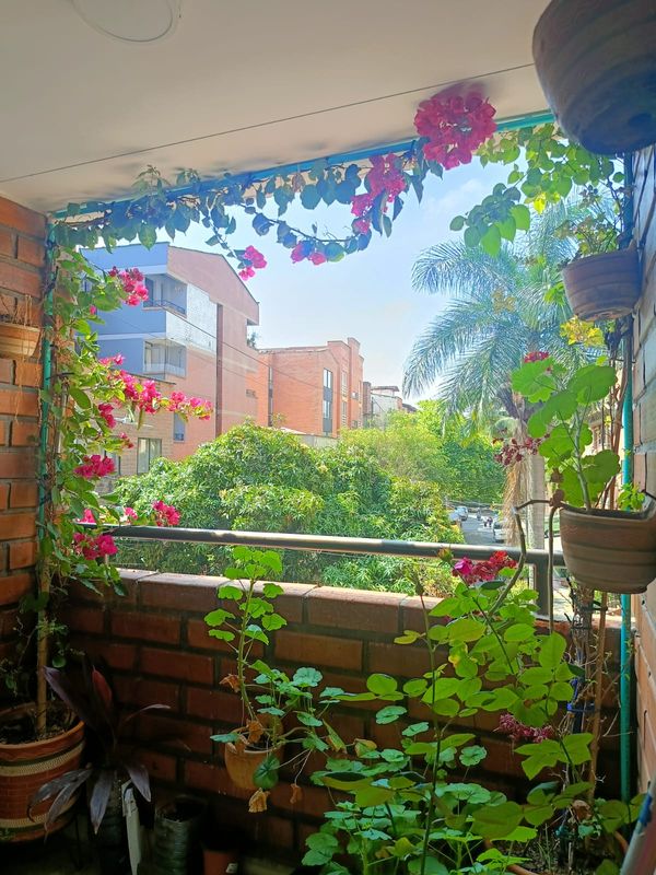 La maison de Adriana Bornacelly y Eiman Moreno