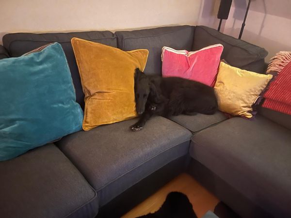 La maison de Susanne