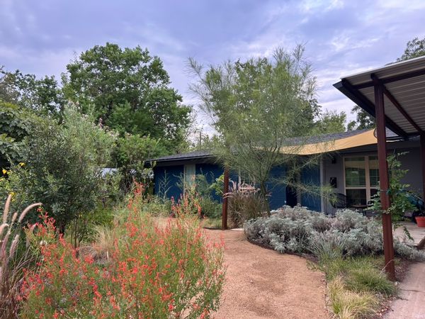South Austin family home with native landscaping
