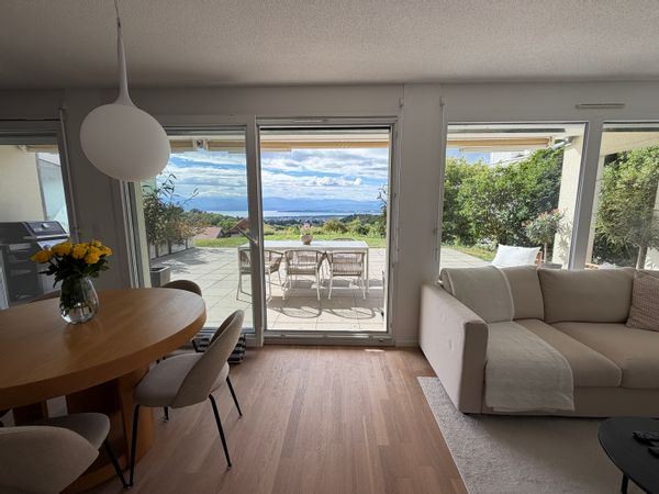 Breathtaking view of the lake and Mont Blanc.  Cosy haven with a huge terrace and garden