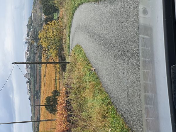 Maison de maitre au cœur du Beaujolais