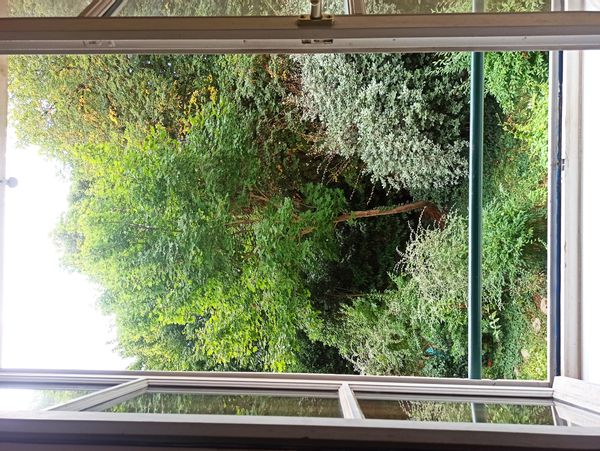 La maison de Fatma.  Lumineuse !