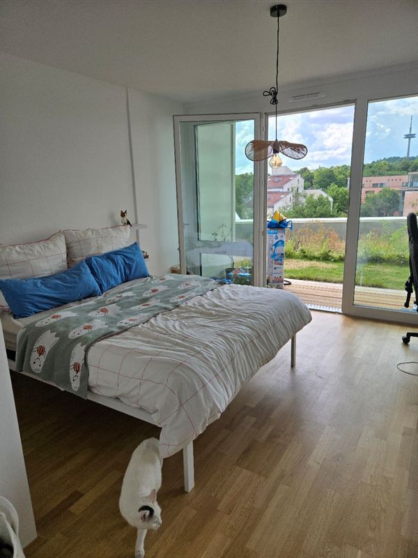 Private room to host, in my lovely apartment!