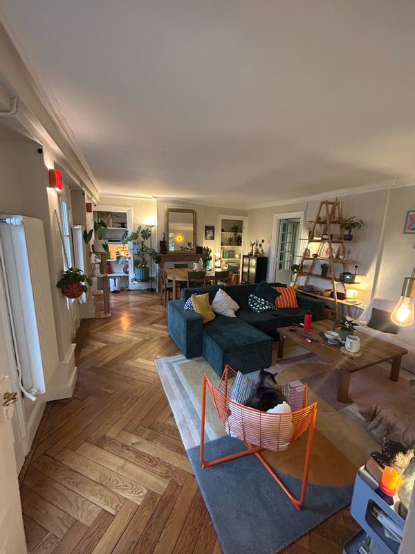 Grand appartement lumineux avec balcon filant et vue au cœur de Lyon