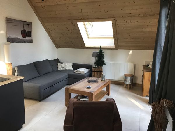 Appartement aux 2 alpes type chalet .