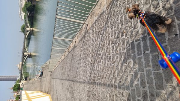 La maison de Estrella