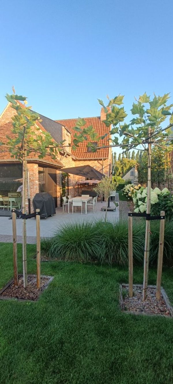 La maison de Isabelle