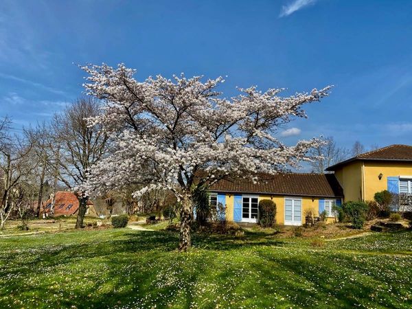 Casa di isabelle