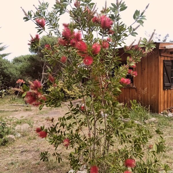 La maison de Giselle