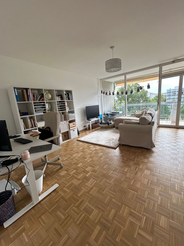 Appartement lumineux et cosy à Genève