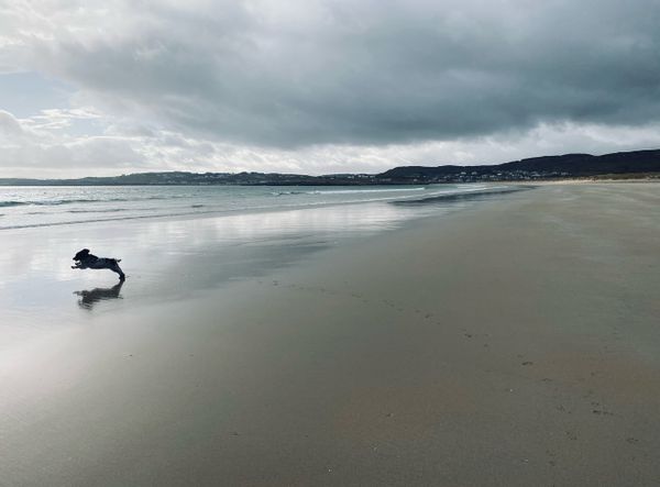 La maison de Suzanne