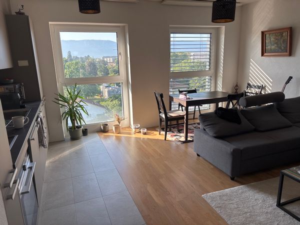 Petit appartement sympathique, lumineux, fonctionnel. Parfait pour quelques jours à Genève.