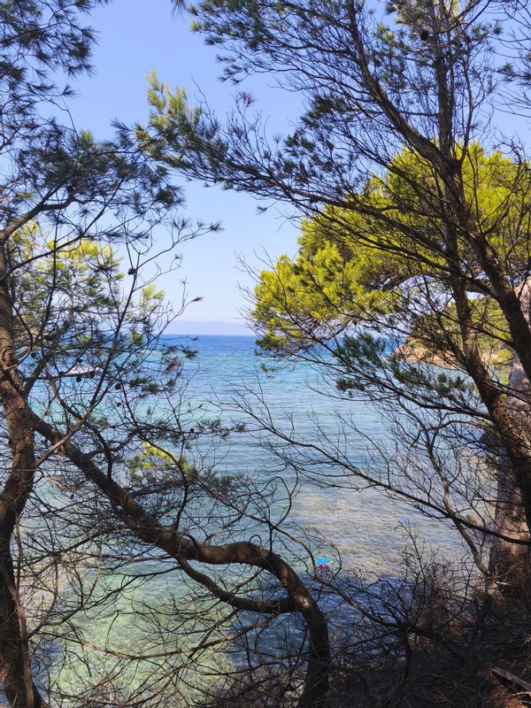 Maison au coeur de la Côte d'Azur