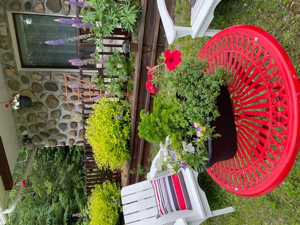 Maison de Nicole et Guy située dans la forêt, secteur du Mont Hereford, avec passerelle et cascade!