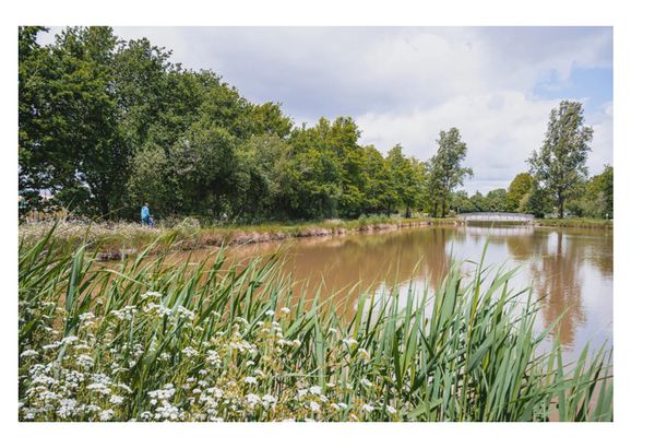 La maison de Fannie et Alex