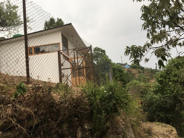 Casa de Lalit Asrani