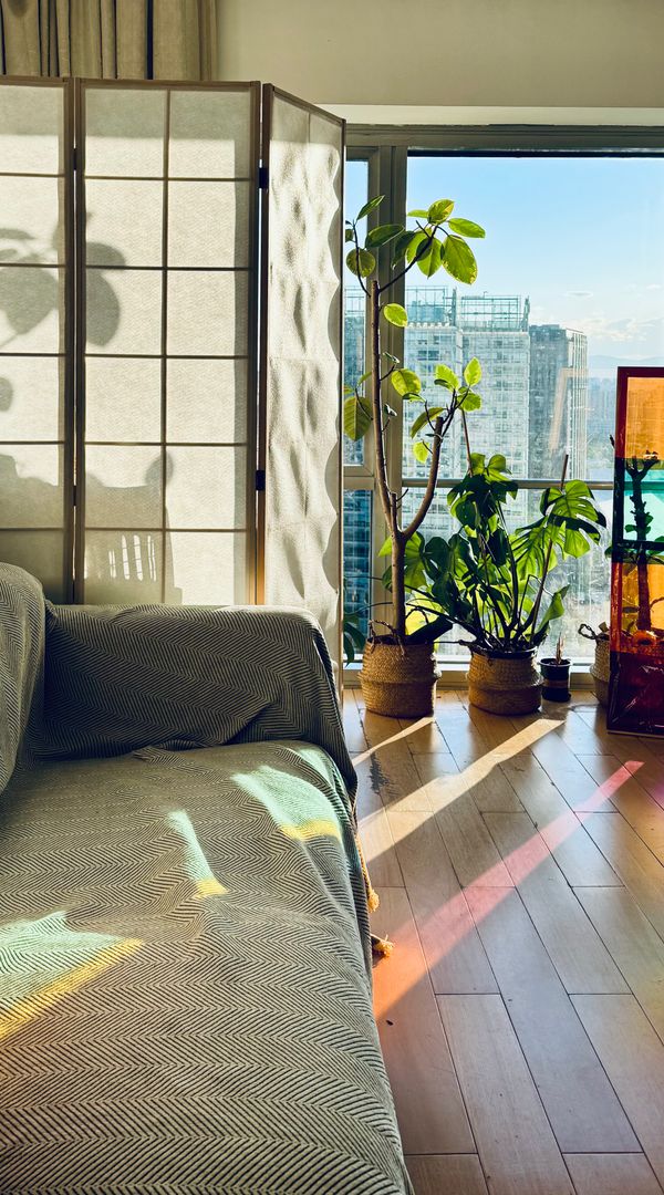 La maison de Evelyn Y