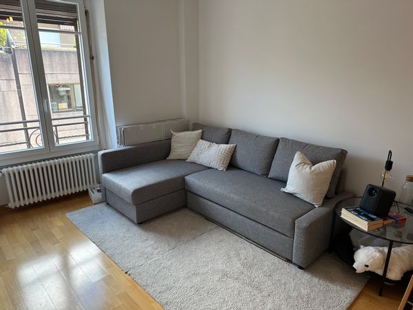 Appartement 1 chambre avec salon, au cœur de Genève – à 15 min de Plainpalais
