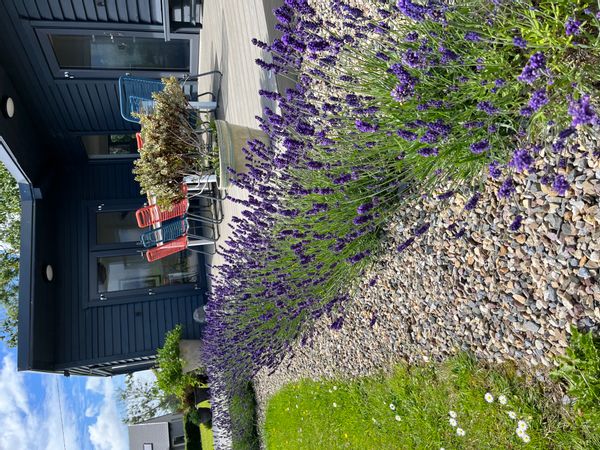 La maison de Patricia