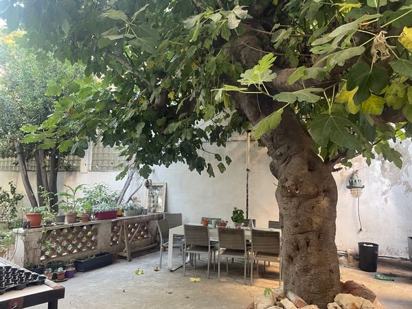 La maison du figuier