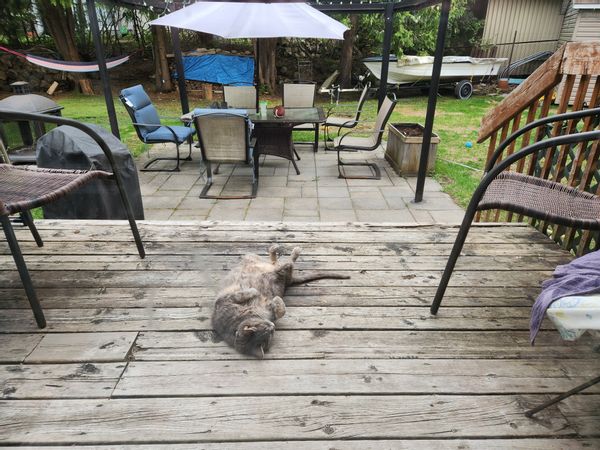 Maison dans les Laurentides de Annie