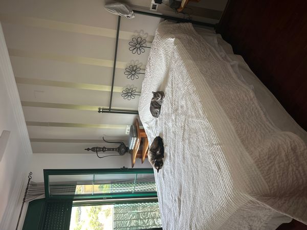Casa de Rosa Maria