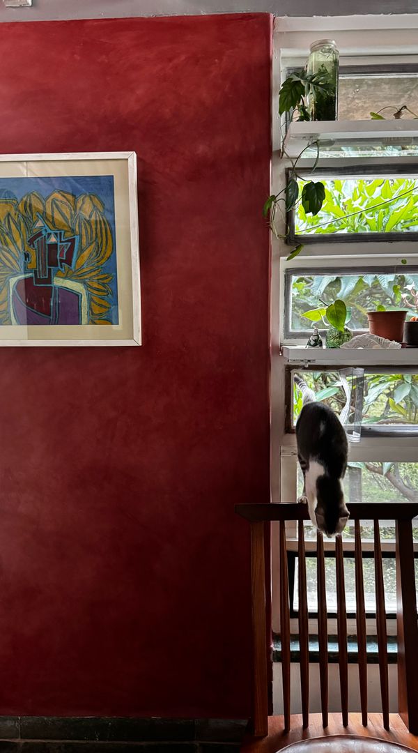 La maison de Tejaswi