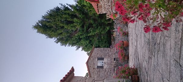 La maison de Margarida