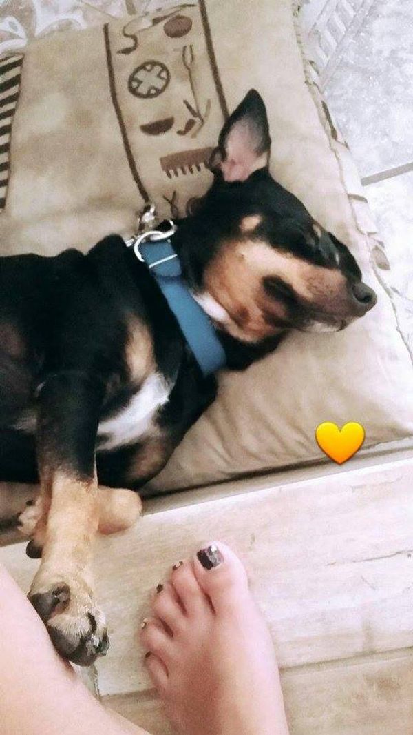 Casa di Robert Silva