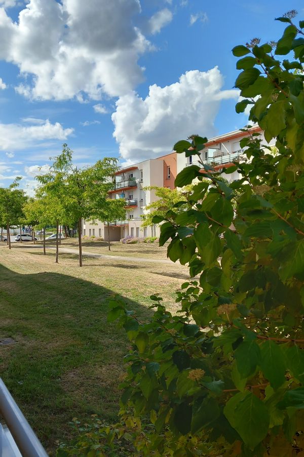 L'appartement d'Elisabeth, un petit havre de tranquillité...