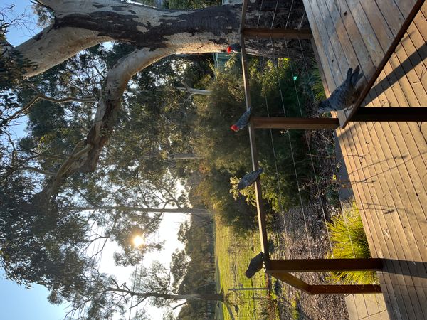 La maison de Clemency