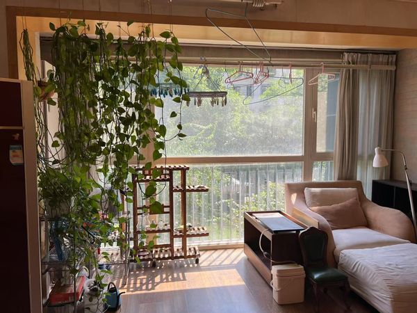 La maison de “Hailey” Chengyu