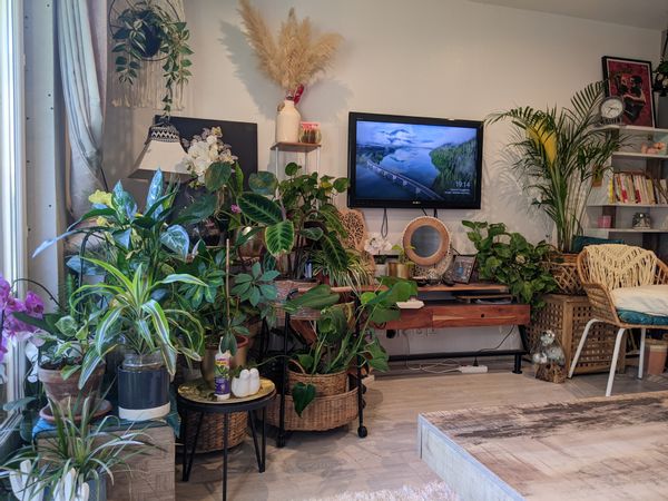 Appartement familial spacieux cosy & green, idéal pour découvrir Paris en toute tranquillité