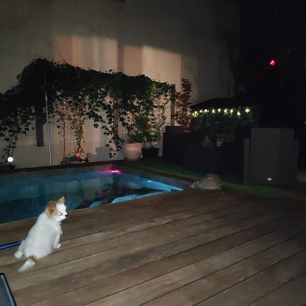 Maison individuelle avec piscine et animaux adorables