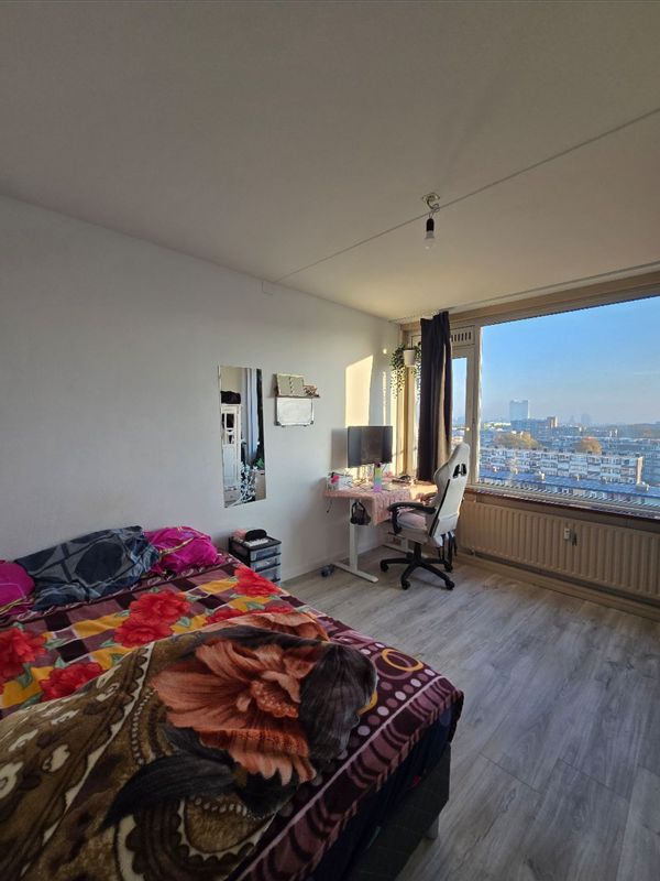 La maison de Priyanka