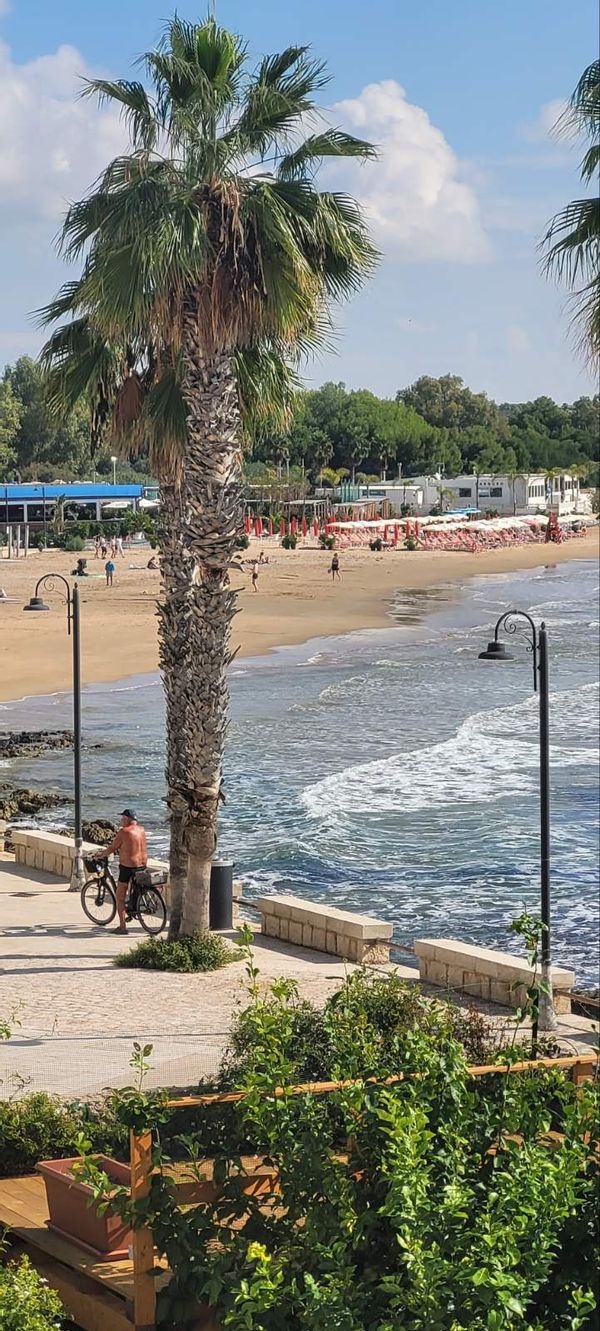 Studio les pieds dans l'eau  dans l 'eau au coeur  d'un village de pêcheur en Sicile.