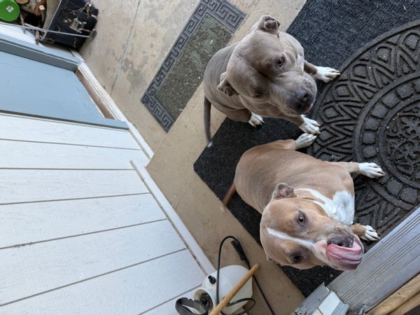 La maison de Mytechsolutions